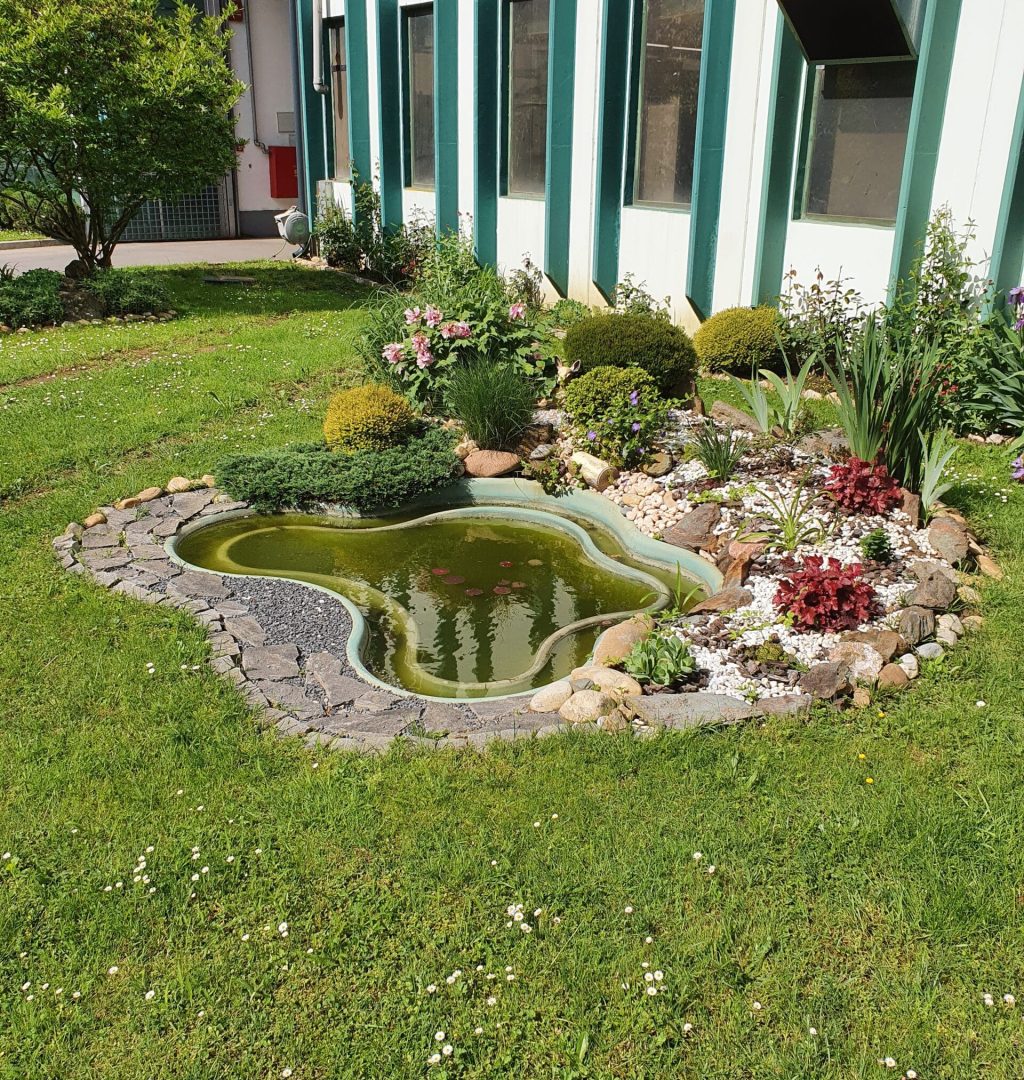 6080 Pond L_2